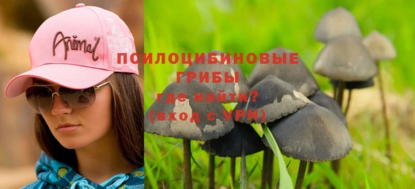шишки Баксан