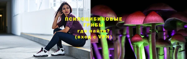 шишки Баксан