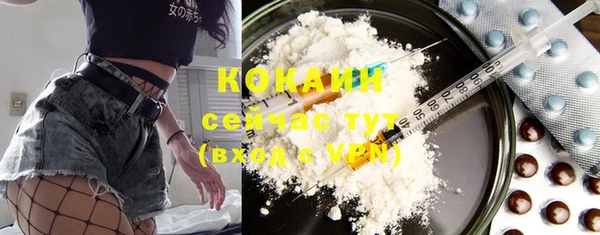 шишки Баксан