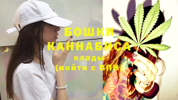шишки Баксан