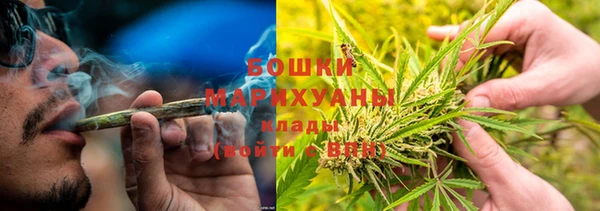 шишки Баксан
