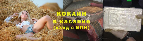 шишки Баксан