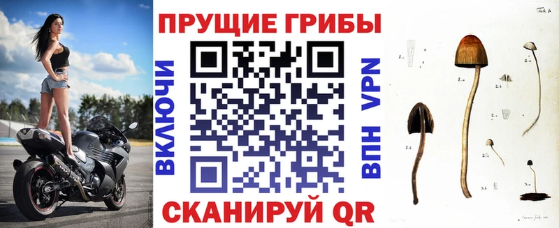Галлюциногенные грибы прущие грибы  ссылка на мегу онион  Шумерля  закладки 